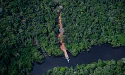El Amazonas es llamado 'El pulmón del mundo', porque provee el 20% del oxígeno a todo el planeta tierra. / Foto: Archivo