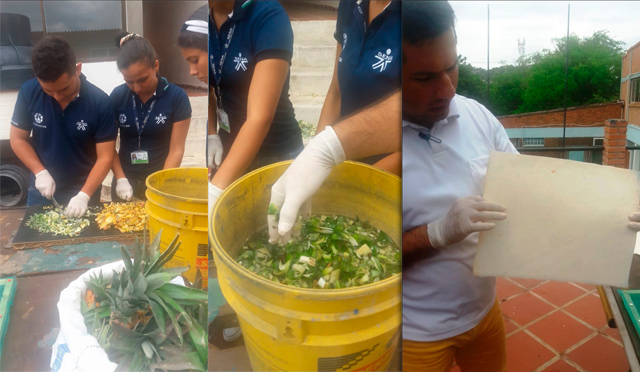 Cucuteños crean papel con piña para ayudar al ambiente