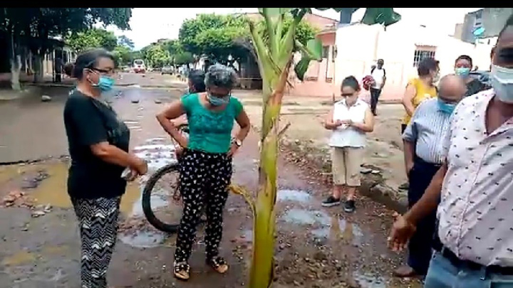 Habitantes del barrio Claret sembraron una planta de plátano en señal de protesta 