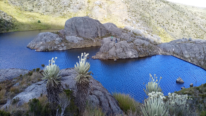 Lagunas negras páramo de Santurbán. Foto: Roberto Ospino/La Opinión.