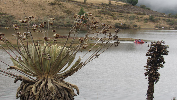 Laguna del Cacique Cácota.