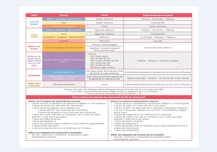 Esquema de vacunación. / Foto: Cortesía 