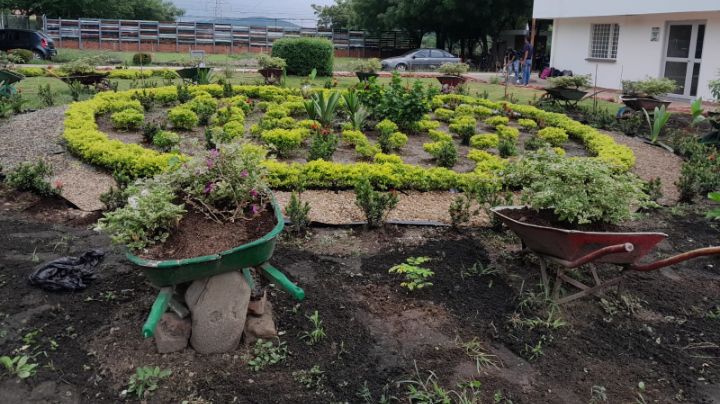 El objetivo es replicar estos macizos de jardín en otras zonas de la UFPS. / Foto: La Opinión 