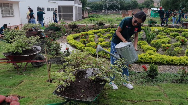 Los estudiantes participan activamente de todas las jornadas. Algunos siembran, otros riegan las plantas, otros aplanan el suelo.  / Foto: La Opinión 