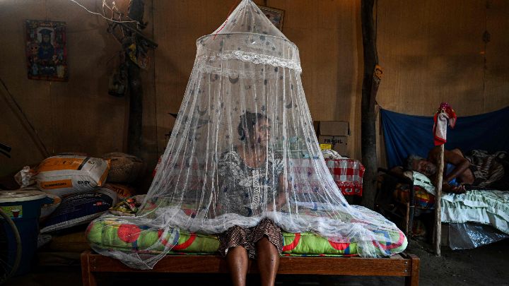 Perú-Francisca Sosa de 45 años, posa para una fotografía junto a su padre que sufre de dengue, en su casa en el distrito de Catacaos, departamento de Piura, en Perú, el 9 de junio