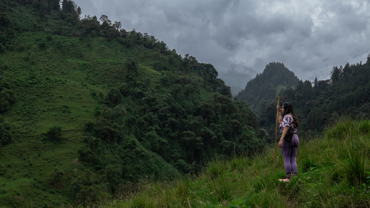 El refugio de la majestuosa ave que es símbolo para los colombianos, pero que hoy está en peligro de extinción.