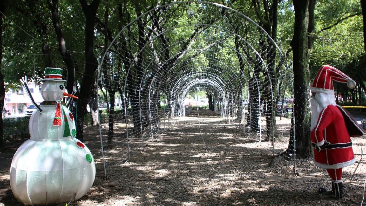 El alumbrado navideño de 2024 busca ser más que una atracción visual. /Foto: Carlos Ramírez / La Opinión