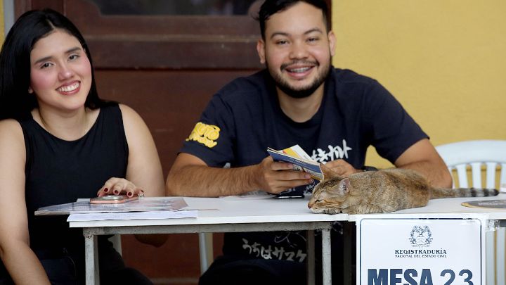 El gato que sirvió de 'jurado' fue la atracción en un puesto de votación de Los Patios./Foto: Carlos Ramírez/La Opinión