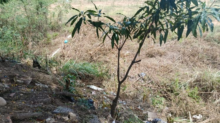Un caño en el barrio se vuelve un foco de contaminación cada vez que llueve - Juan Marco.