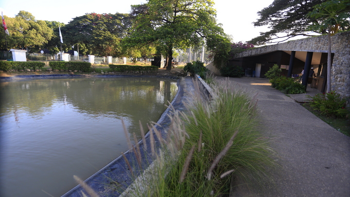 Lago