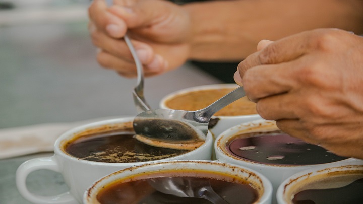 El café y cacao