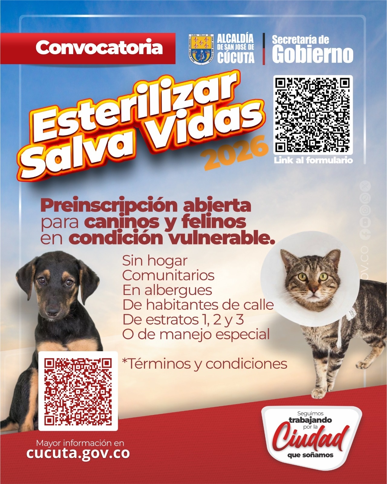 Imagen eliminada.