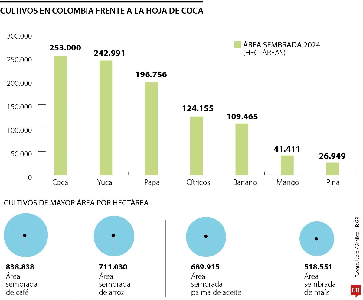 Imagen eliminada.