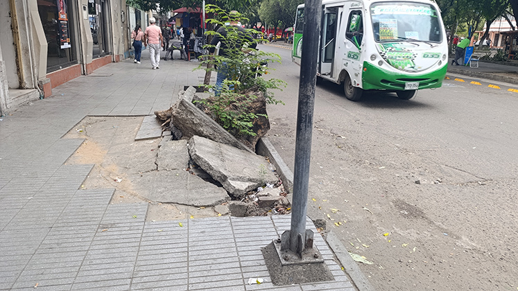 Imagen eliminada.