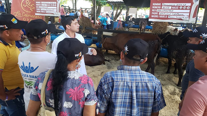 Ganaderos de Cúcuta presentes en feria de Montería./Foto: cortesía