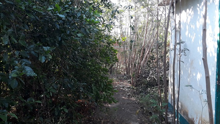 Colegio abandonado.