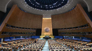 Organización de las Naciones Unidas.