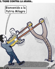 El tigre contra la araña...