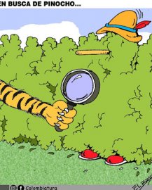 En busca de pinocho...