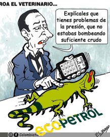 Roa el veterinario