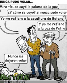 Nunca pudo volar