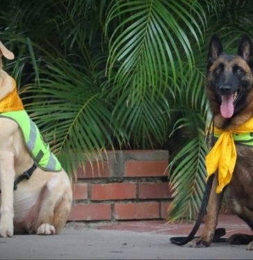 Nika y Estrella perritas policías