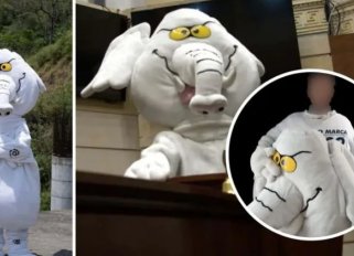 ELEFANTE BLANCO 