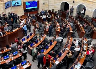 nuevo-senado