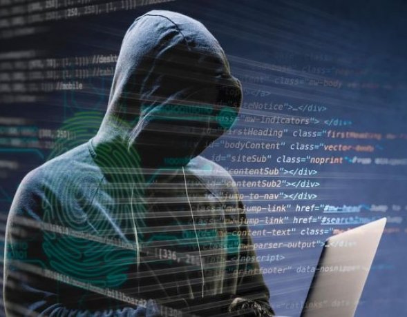 DELINCUENTES CIBERNETICOS