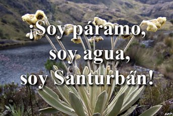 El páramo de Santurbán ofrece uno de los paisajes más hermosos del país 