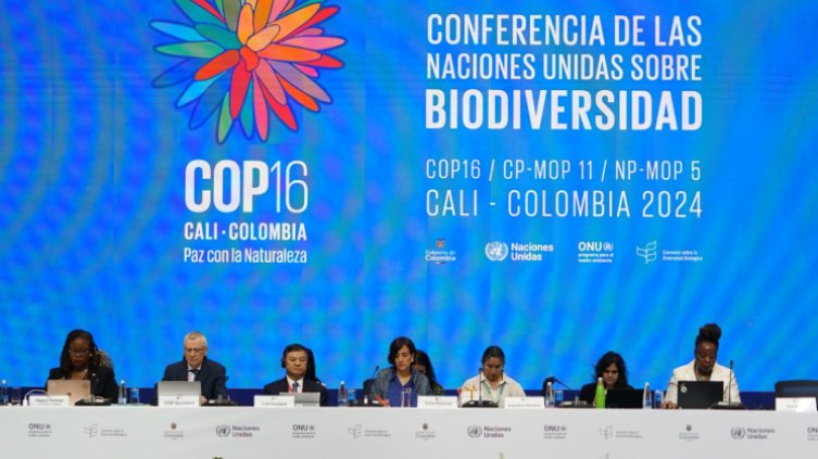 El plan de acción de Colombia busca aumentar la protección de la biodiversidad en el país y promover el desarrollo sostenible. / Foto: Redes sociales