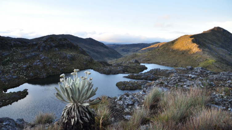 Páramo de Santurbán.