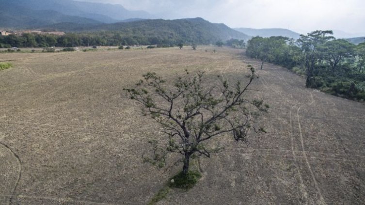 Fenomeno El Niño