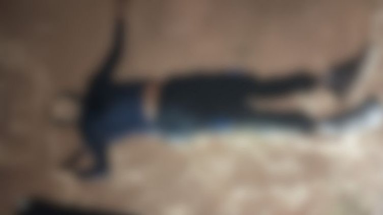 Cuerpo El Mestizo