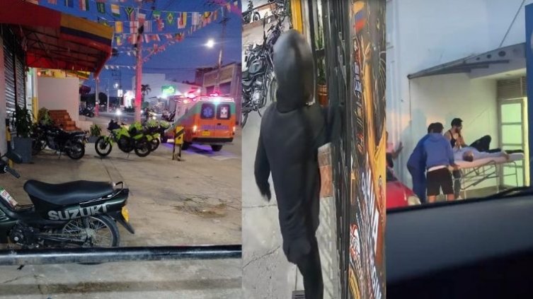 Gato Ocaña Herido