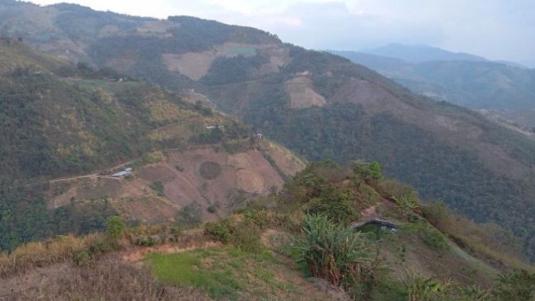 La tala indiscriminada de bosques preocupa a las autoridades ambientales de la provincia de Ocaña y sur del Cesar.
