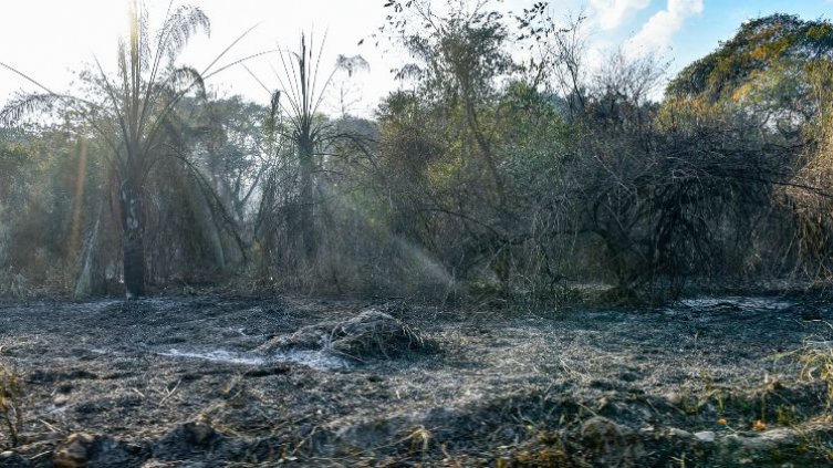 INCENDIOS EN TOLIMA 