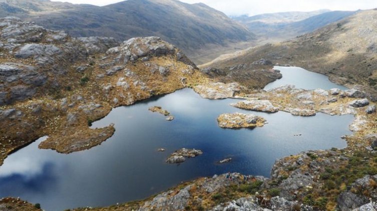 Delimitar el ecosistema por etapas y la creación de nuevas áreas de reserva forestal.