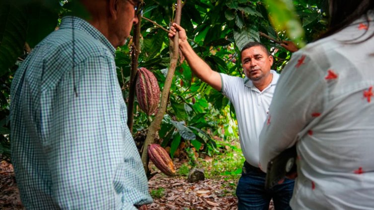 Productores. / Foto:  cortesía de Fondo Colombia en Paz