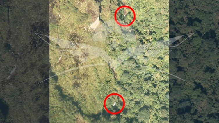 Avioneta accidentada Chocó