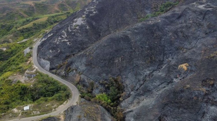 Incalculables pérdidas dejan incendio forestal en zona rural de Ábrego. Fotos Carlos Ramírez.