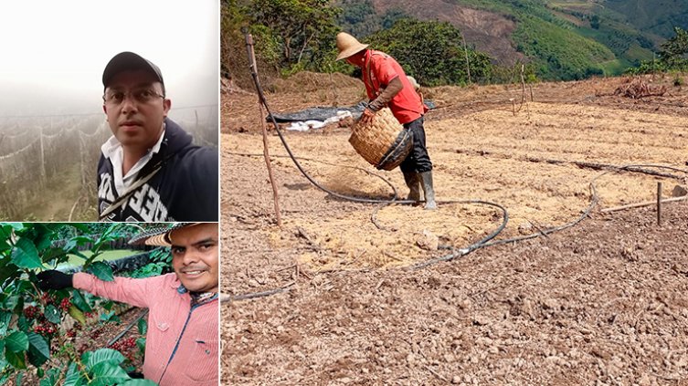 Son muy pocos los productores que se adelantan a las pérdidas y se soportan en un seguro agropecuario. / Fotos cortesía