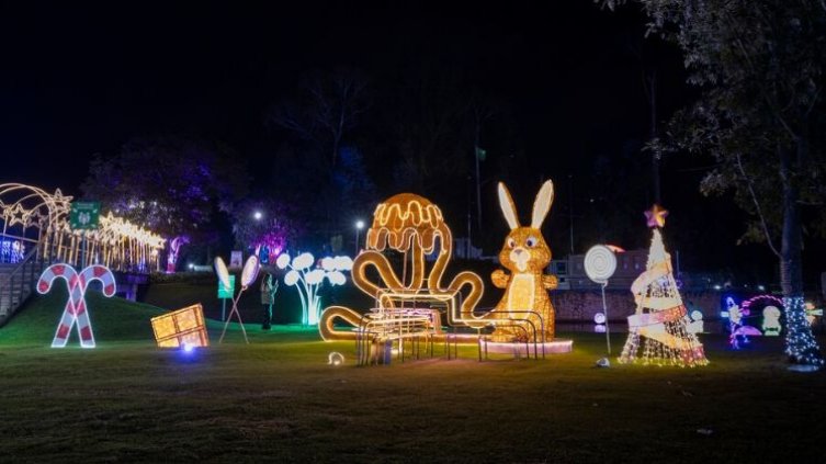 ALUMBRADO NAVIDEÑO 