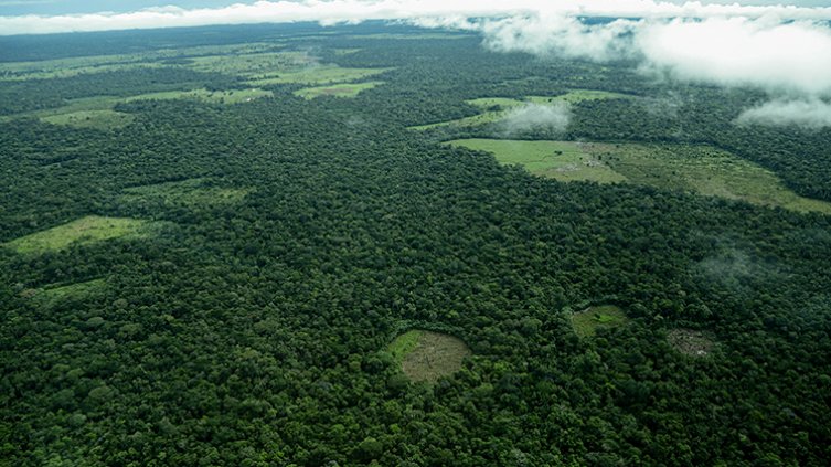 Amazonas. Foto: Colprensa.