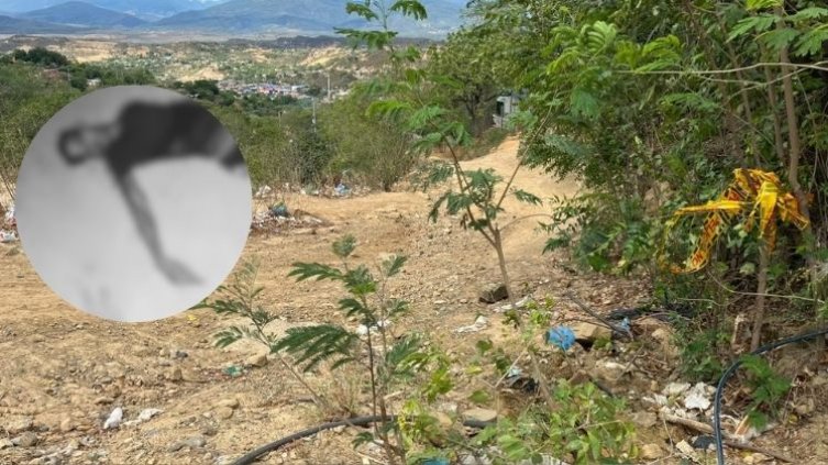 Asesinato Antonia Santos