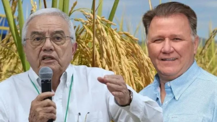 “No siembren arroz, no es rentable; siembren marañón”: la polémica frase del ministro de Agricultura