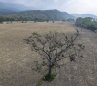 Se espera una fuerte sequía producto de la ausencia de lluvias./Foto Archivo