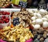 EXPORTACION DE ALIMENTOS 