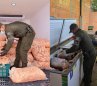 Incautan más de 3,6 toneladas de pescado, camarón y carne en Cúcuta por incumplir normas sanitarias