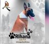 Rihana